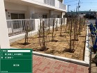 カート 千葉県植栽工事