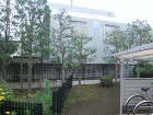 民間事業のマンション緑地管理 | 藤沢造... /civilian/example/apartment/images/image_mansion03b.jpg