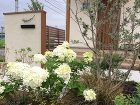 植栽管理について | 【グリーンテラス】...