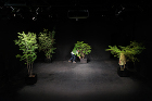 建築家劇の舞台植栽/at THEATRE E9 KYOTO（京都府京都市）