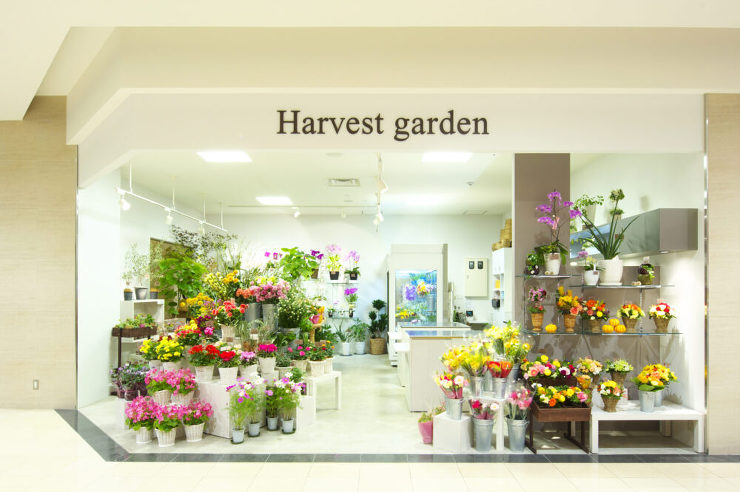 Harvest Garden