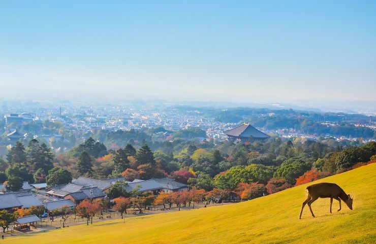 自然素材　ひのきの家　アシストホーム