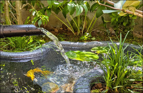 人工竹垣と植栽で目隠しを施し、池を楽しむ小さな和風の庭-足立区M様邸