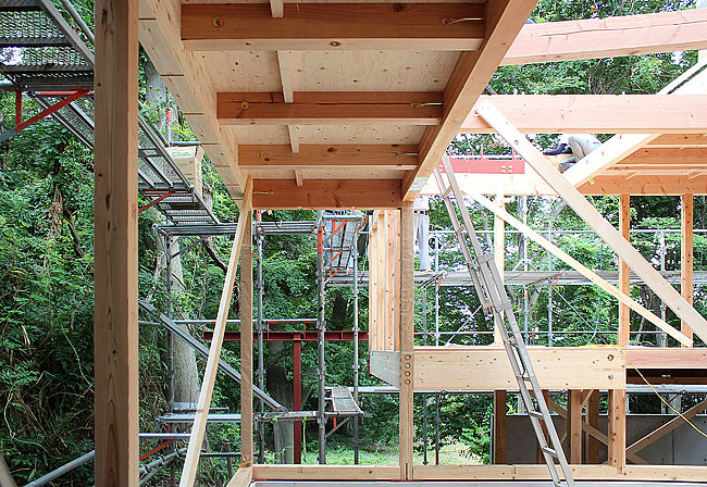 Eureka | Eagle Woods House_Construcion