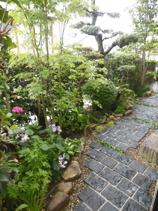 趣のある園路に　広島市佐伯区 | 広島｜...