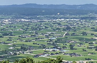 北摂 庭づくり 雑木と野草｜上村景観設計...