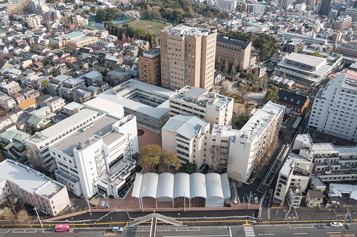 日本女子大学 百二十年館・杏彩館 | W...