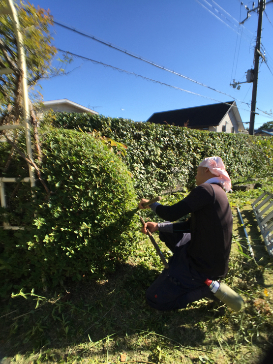 庭園管理・剪定｜T邸（滋賀県大津市）