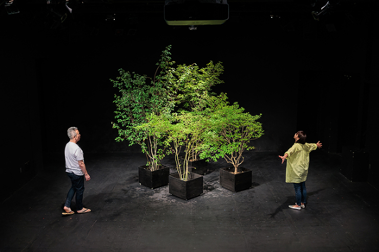 建築家劇の舞台植栽/at THEATRE E9 KYOTO（京都府京都市）