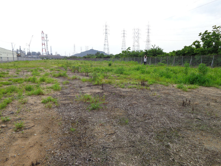 杭打ち！ - 岡山の店舗デザイン・住宅設計 | 青木建築設計事務所