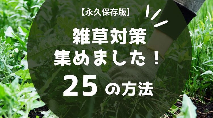 【雑草対策】徹底比較！費用対効果で選ぶ除草・防草方法25選！